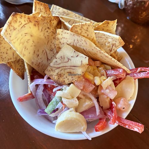 ceviche de corazón de palma!  at El Plaza Vieques in Vieques