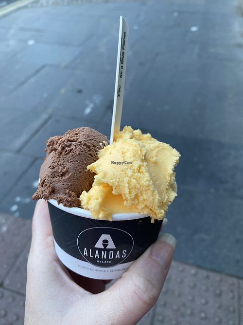 Chocolate and mandarin orange  at Alandas Gelato in Edinburgh