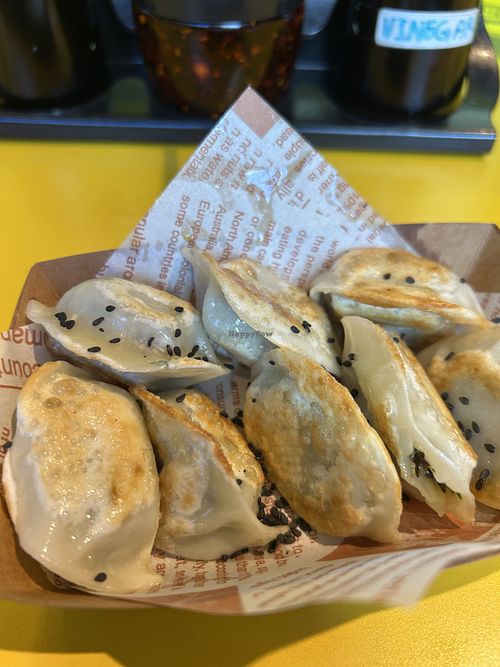 8pcs vegan dumplings 9,99€  at Uncle Wang Dumplings in Rotterdam