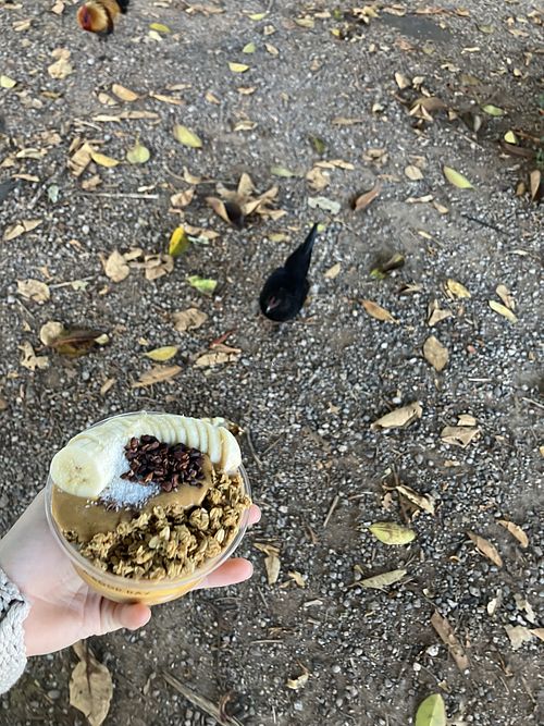 monkey bowl + chicken!  at The Sunrise Shack - Shark Cove  in Haleiwa