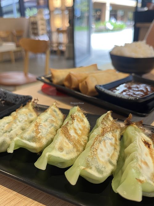 Vegetable gyoza and spring rolls  at Kei Japanese Restaurant in Wolli Creek