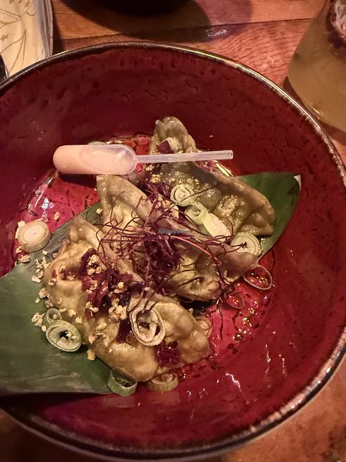 Gyoza 🥟   at Brasserie Quinty's in De Koog