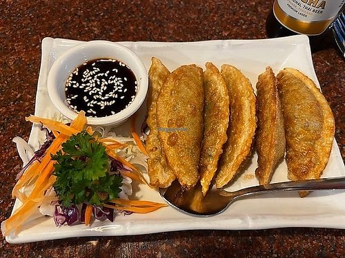 Veggie gyoza at Royal YUM in Denton
