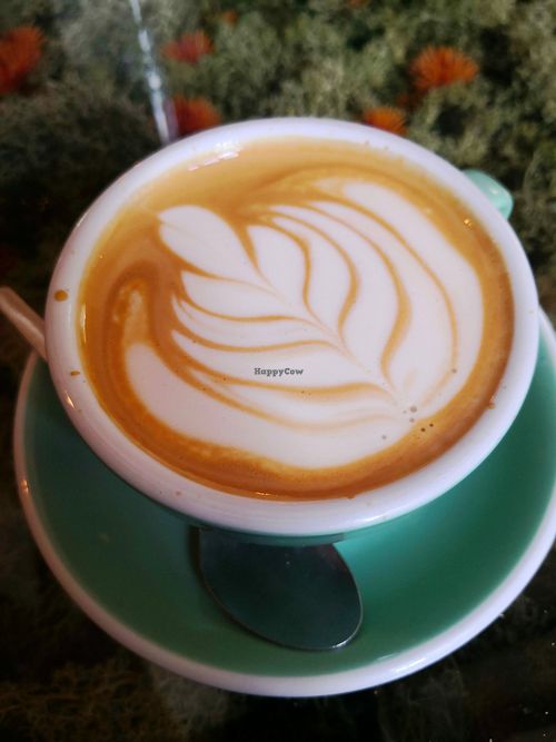 Flat white 😍 at The Salisbury Orangery in Salisbury