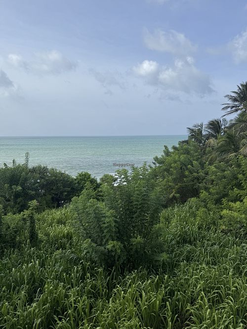 Stunning view from roof terrace   at Mond in Dikwella