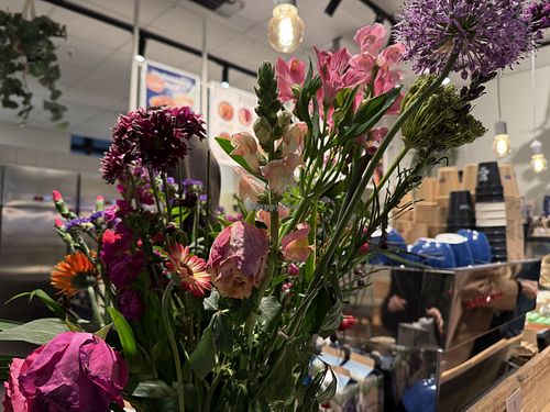 front #Veganuary at Haferkater in Mannheim