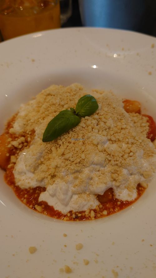 Gnocchi with Burrata at Meow Pizzeria Verde in Innsbruck