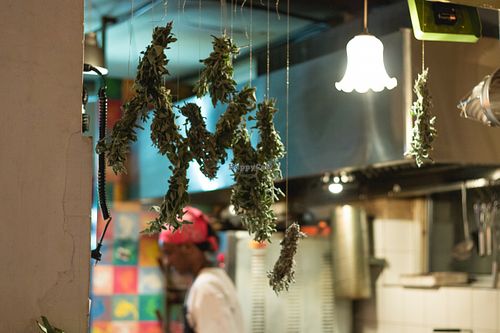dried salvia over the bar at Zakaim - Vegan Boutique in Tel Aviv