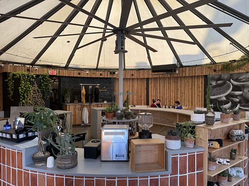   at The Plot in Costa Mesa