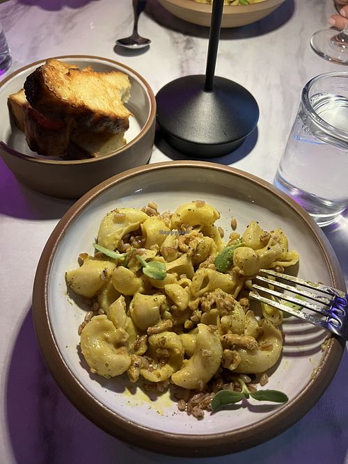Lumache pasta with farro  at Black Iron Bystro in Buffalo