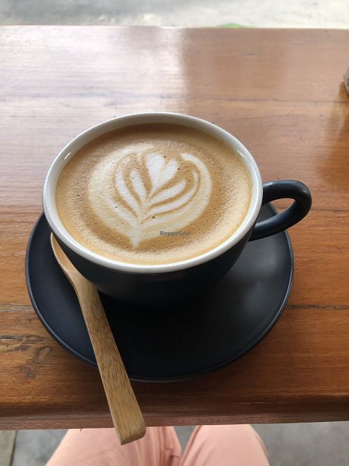 Oatt milk latte   at Kalae Cafe - Nangnon Coffee in Chiang Rai