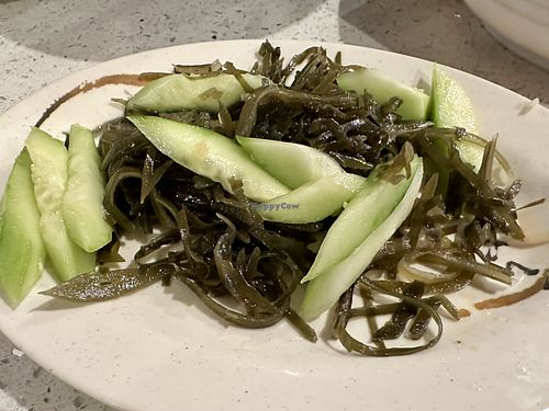 Seaweed salad + Garlic cucumber combo  at Chong Qing Special Noodles  in San Gabriel