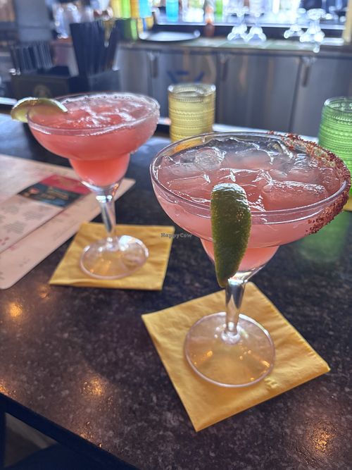 margs  at Kavas in Orlando