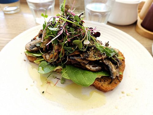 Vegan and gluten free mushrooms on toast at Neo Cafe & Eatery in Wellington