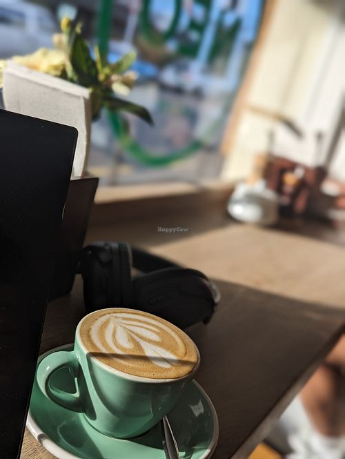 Oat flat white at Neo Cafe & Eatery in Wellington