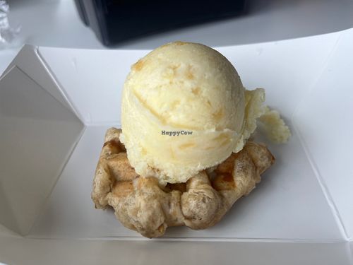 Pineapple coconut ice cream and waffle at The Dolly Llama in Jacksonville