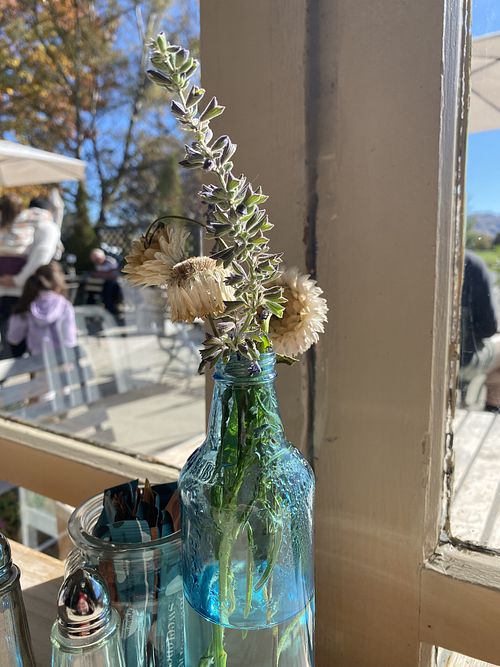Flowers in the window  at Tarras Country Cafe in Cromwell