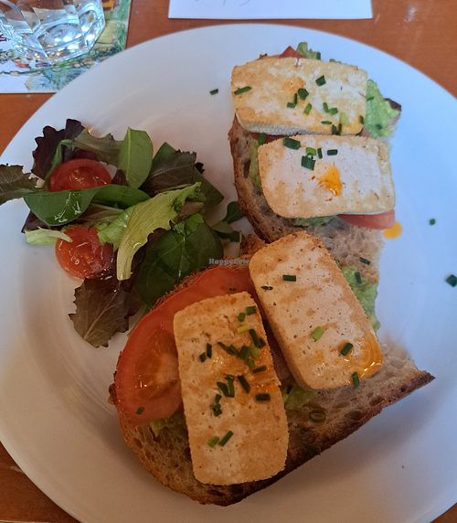 Avocado toast with tofu at Globe Bookstore And Cafe in Prague