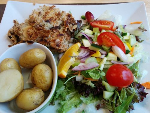nutty parsnip and celeriac bake at Thyme to Eat in Chesterfield