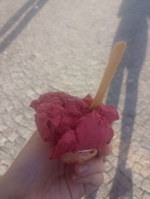  at Leonardo in Litomerice