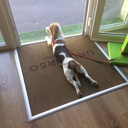 :-) at Universo Vegano - Navigli in Milan