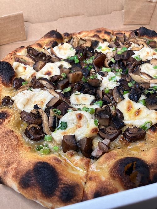 Fun Guy with cashew cheese  at Il Forno in San Antonio