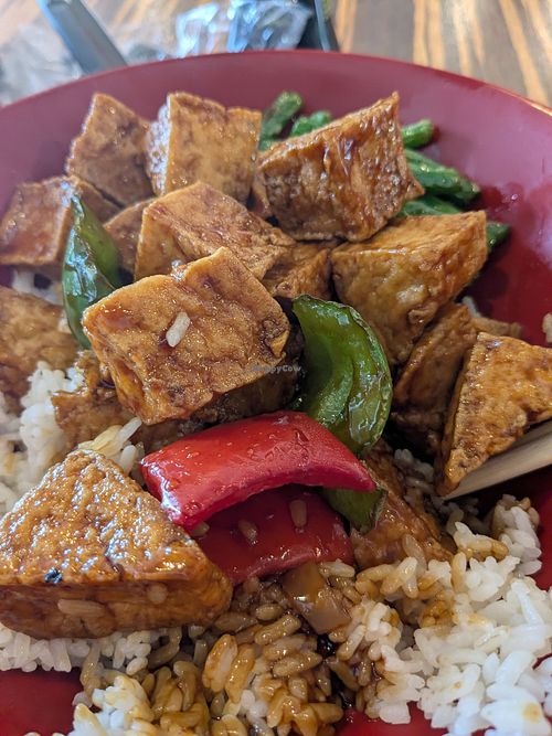  at BENTO - Dania Beach in Dania Beach