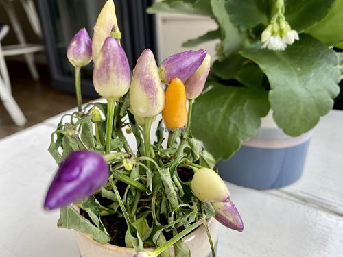 table at Krawummel in Muenster