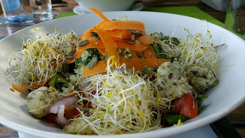 gourmet salad with quinoa  at TREFF in Mallorca
