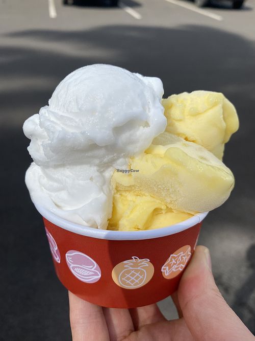 Mango & coconut sorbetto  at Papalani Gelato in Koloa