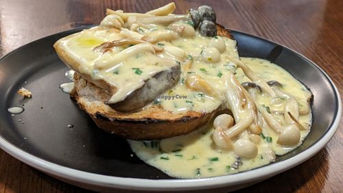 Wild mushrooms in cream sauce at The Swan & Goose  in Burnley
