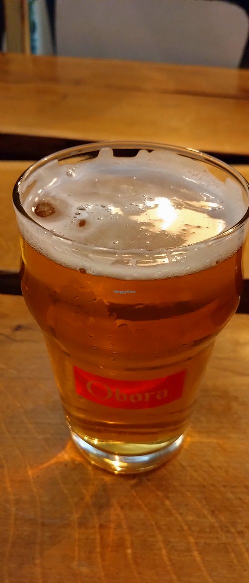 Berg Erebus at Myslíš? in Prague