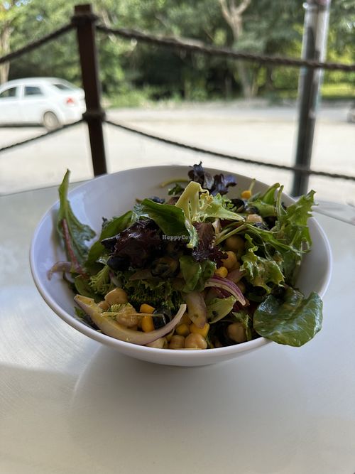   at Arúgula  in Bacalar