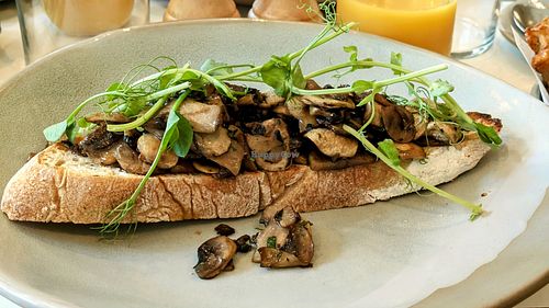 Mushroom on sourdough at Apricot Brunch + Bar in Lytham St Annes