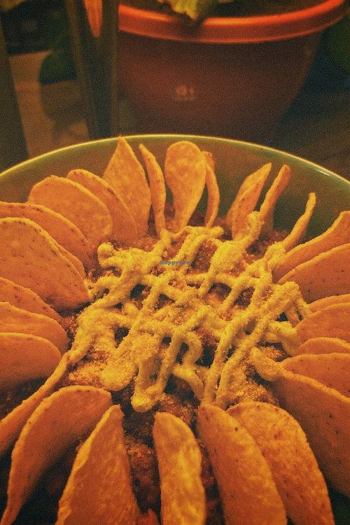 Image of Lutra Lutra Bar