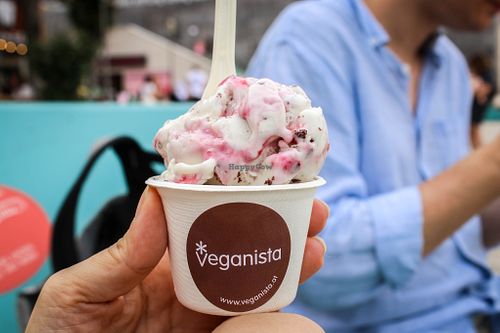 forest fruit and cookie ice creams at Veganista Ice Cream I in Vienna