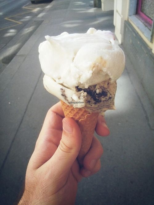 Coconut/cookie at Veganista Ice Cream I in Vienna