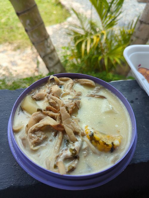 Super delicious mushroom soup at Amanda  in Manizales