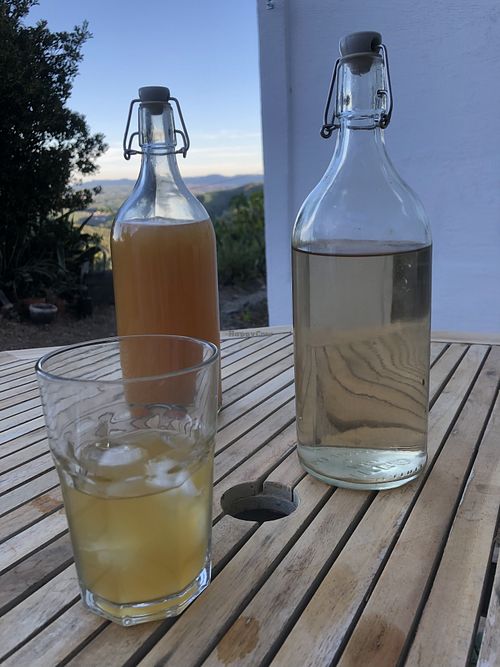 Ginger beer and ice tea  at Alem do Vale  in Vale Da Figueira Estreito