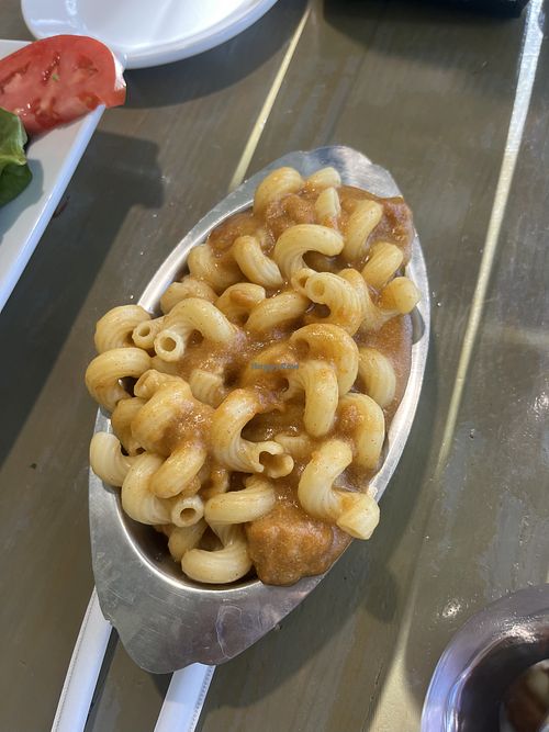   at Sal's Ballyhoo's in Key Largo