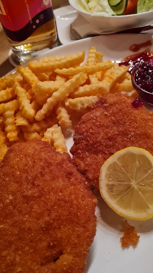 Vegan Schnitzel with fries and side salad at Wirtshaus zur Schupfa in Pentling