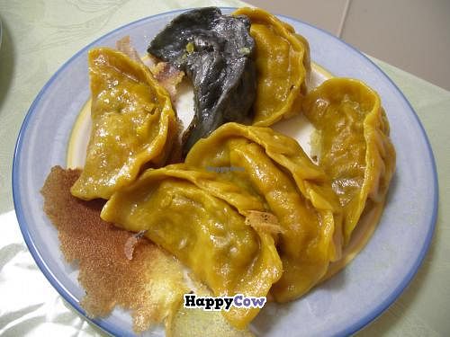 Senjo Handmade Gyoza Shop at Senjo Handmade Gyoza Shop in Tokyo