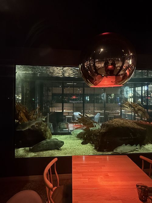 inside  at Restaurant Skirri in Tromsoe