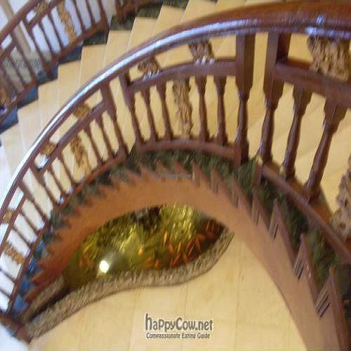  at Jade Buddha Vegetarian 玉佛寺素斋馆 in Shanghai