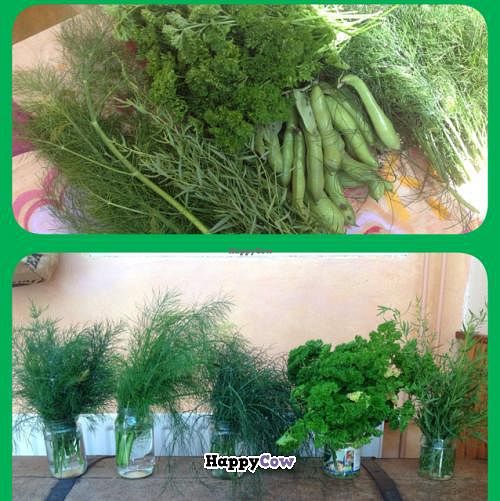 fresh herbs from the garden at Bij de Jongens op 't Zand in Sleeuwijk
