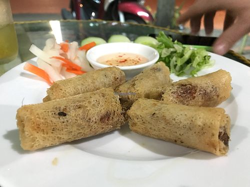 Delicious vegan spring rolls  at Vi Dieu in Phan Thiet
