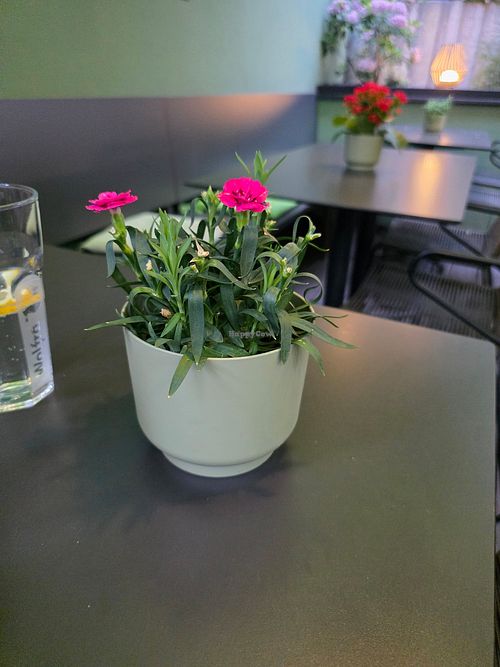Tischdeko at PADU in Passau