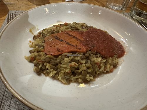   at El Muelle de Darwin   in Puerto Ayora