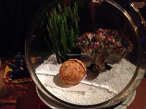 Terracotta dumpling at Pure Lotus - Jìng Xīn Lián 净心莲 in Beijing