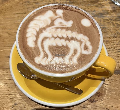 Best latte art I’ve ever receivedd  at Slake Coffee House in Lyon